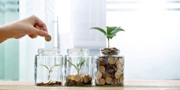 savings growth